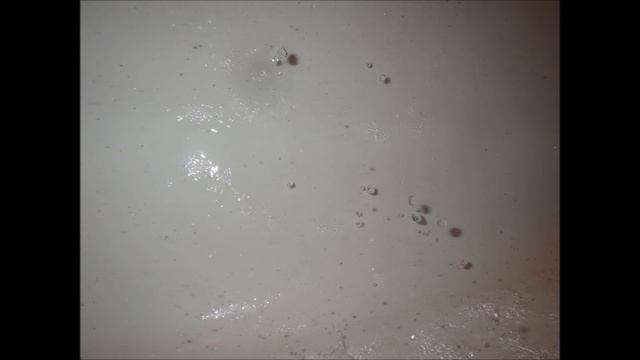 Ricoh WG-30 Water camera Pics смотреть онлайн