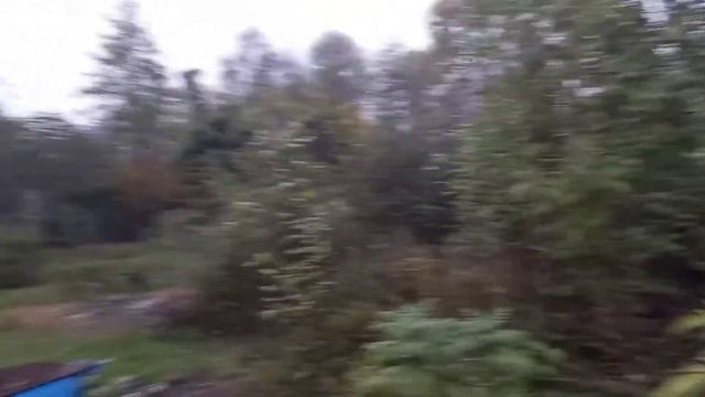 Сочи 2 млн за 5,5 сот. Верино.