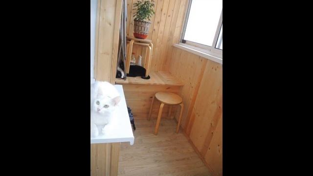 Продажа квартиры, Зеленоград смотреть онлайн