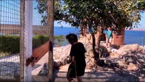 Отдых Ультра Всё Включено в России на берегу Азовского моря с собакой! Отель Рига Вилладж Резорт 3*