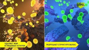 EXPEL ВОЛОСОГОН И ЖИРОГОН - специализированные средства для прочистки труб в ванной или на кухне