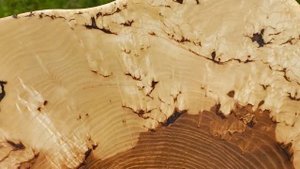 Чаша из Ясеня , торцевой спил