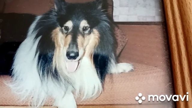 квасим капусту смотреть онлайн