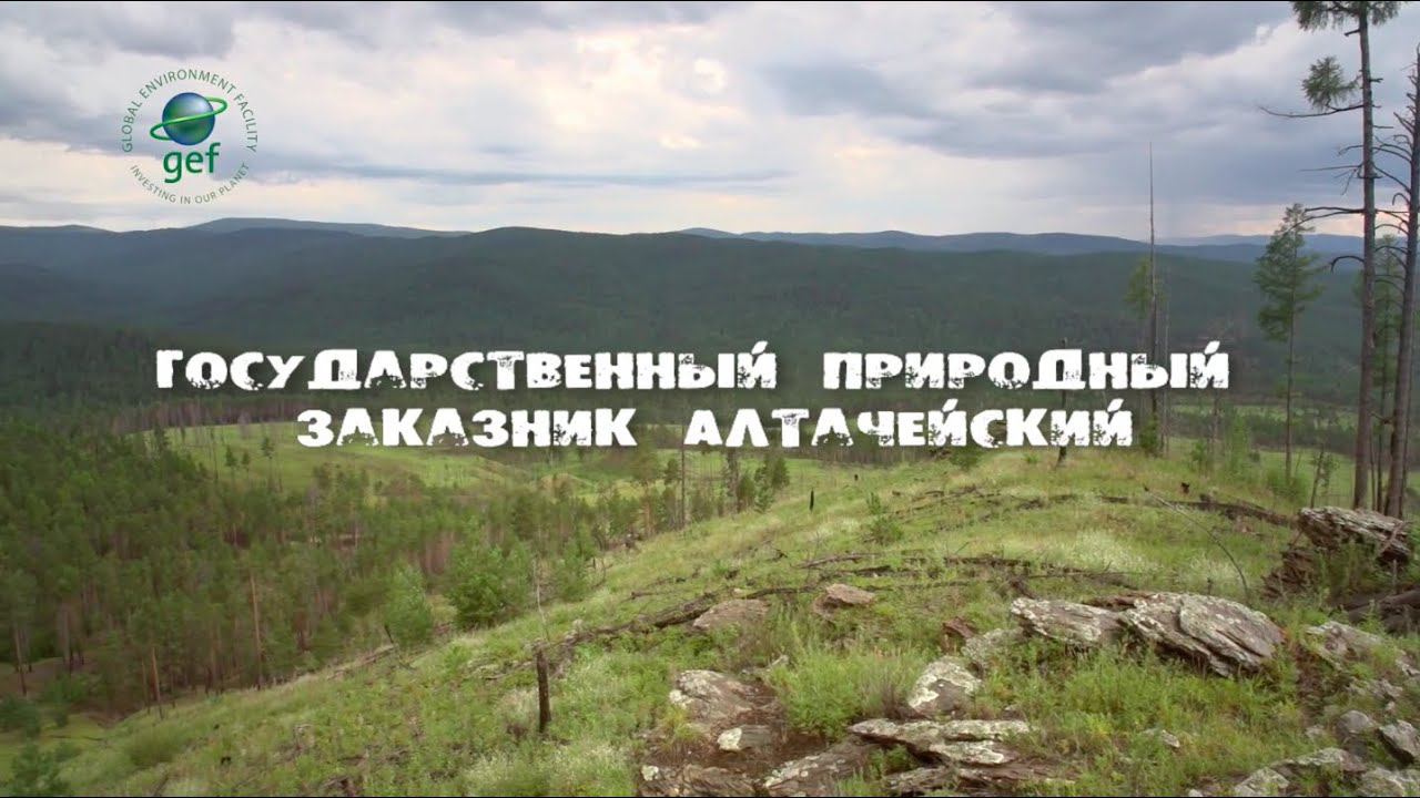 «Заповедное ожерелье Байкала». Алтачейский государственный природный заказник