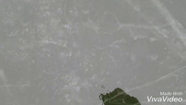 Первый раз на зимней рыбалке. Оскол 7 января 2021. смотреть онлайн