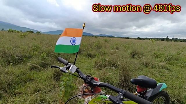 OPPO RENO 8 5G CAMERA QUALITY TESTING смотреть онлайн