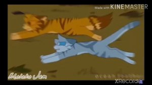 Коты воители | Воробей клип Луна не знает пути |