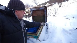 ЗИМОВКА ПЧЁЛ В УЛЬЯХ РУТА НА ВОЛЕ ПОД СНЕГОМ, РАСПОЛОЖЕНИЕ КЛУБА, ВЕНТИЛЯЦИЯ.