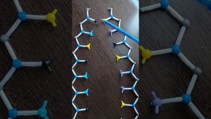 03 Правило Чаргаффа. ЕГЭ по биологии. Эксперт Винер Фаритович