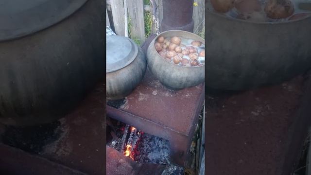 Жизнь в глуши. День 66. Варим картошку для коровы смотреть онлайн