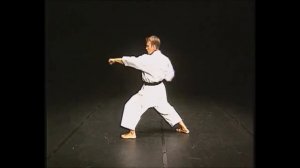 Хейан Годан+Бункай в исполнении трёхкратного чемпиона мира/Heian Godan