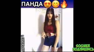 Перепели песню CYGO Panda E. ТОП 3 КАВЕРА