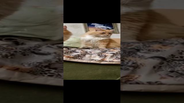 2022-11-14 смотреть онлайн