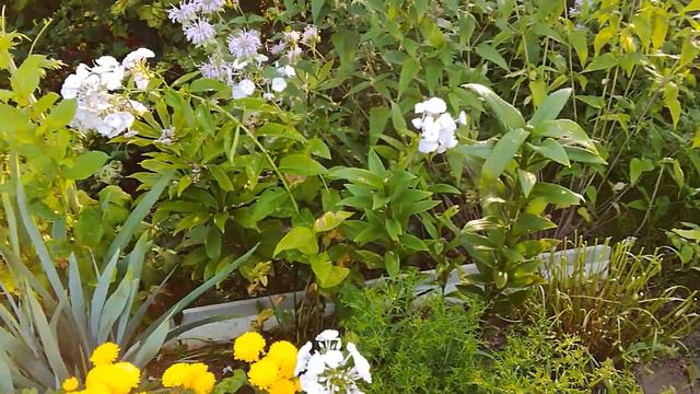 Божественная красота смотреть онлайн