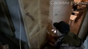 Как избавится от грибка (плесени) и отбелить древесину своими руками