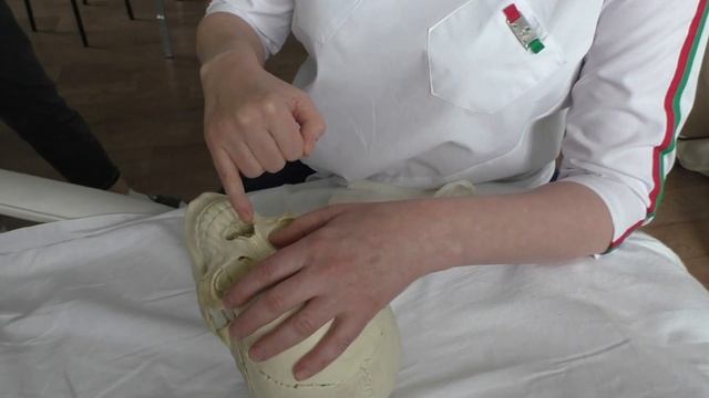 Обучение массажу курсы массажа нос лифтинг скуловая зона