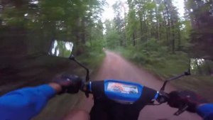 Yamaha BWS vs Honda Zoomer, лесная схватка