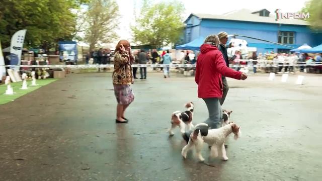Клуб Шико. Выпуск от 24.06.23 смотреть онлайн