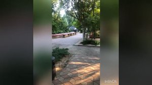 б/о Солнечный берег Кирилловка 2021