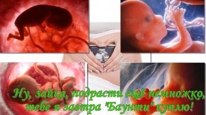 В ожидании чуда!