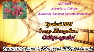 Урожай 2023 в саду Железовых. Сибирь однако!