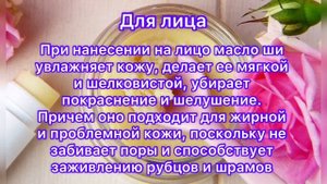 Все факты про МАСЛО ШИ. Польза и применение МАСЛА ШИ (4)