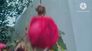 Fajar Time Azan/Ep-23 Recitation|harmony 1 Quran