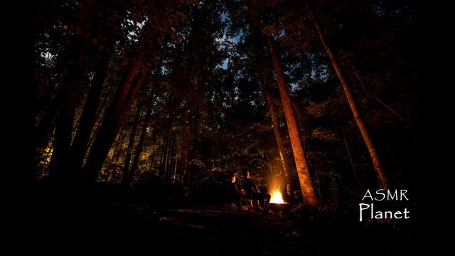 Relaxing forest camping sounds | 10 minutes | Lay Down & Relax смотреть онлайн