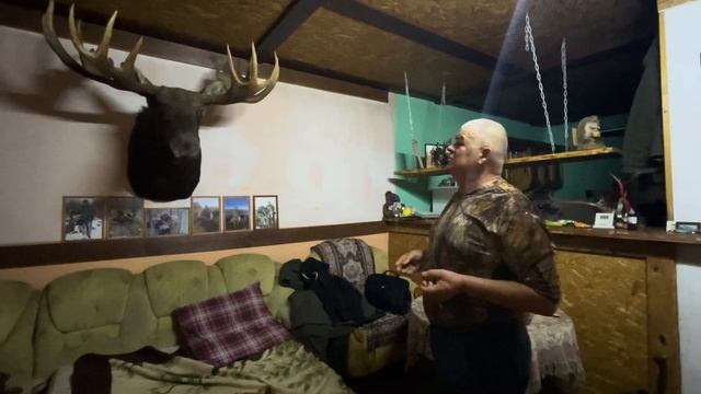 Метод определения возраста лося: достоверность 95%. смотреть онлайн