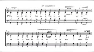 М. Шмелькова От юности моея