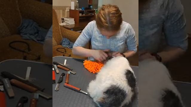 и снова триминг. камера настроена