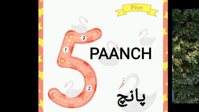 Urdu and English Counting 1-10
