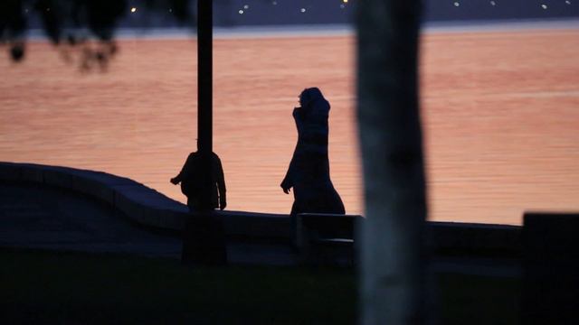 Чудовище выползло не берег Петрозаводска из Онежского озера.