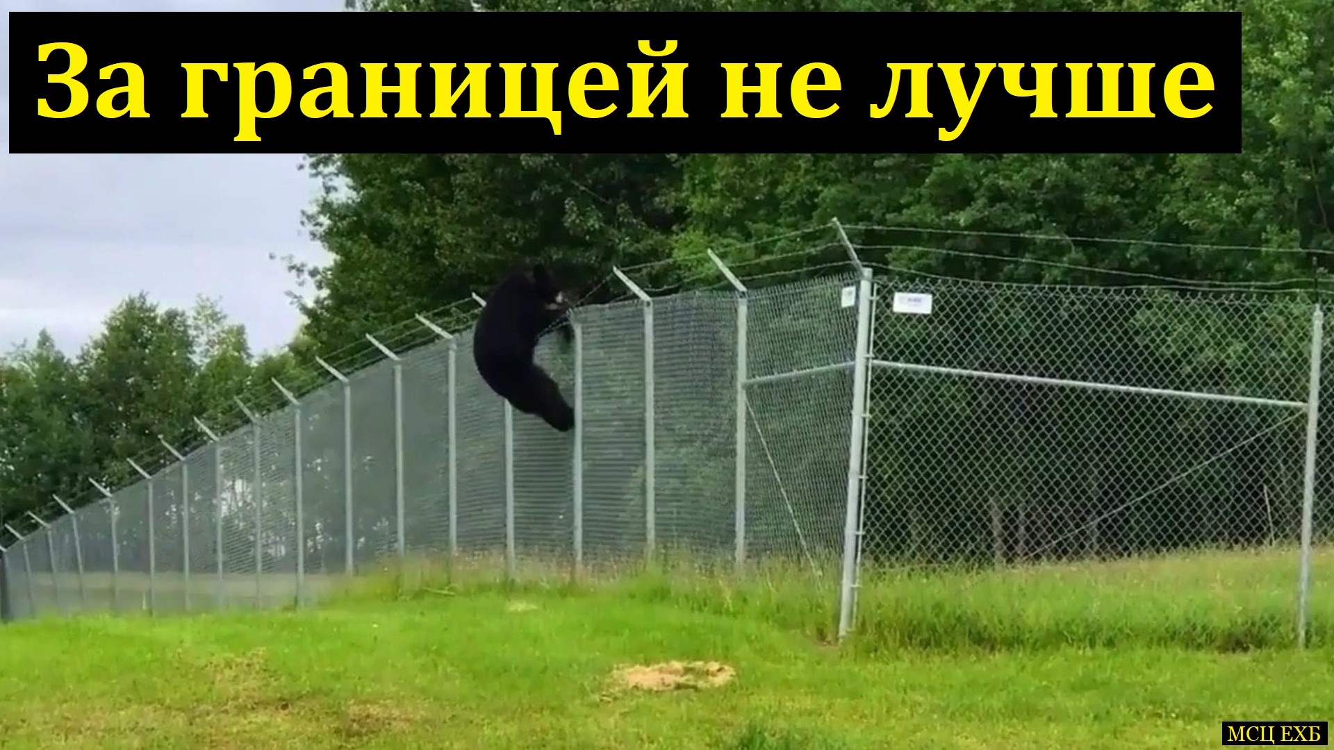 За границей не лучше! М. А. Мельничук. МСЦ ЕХБ
