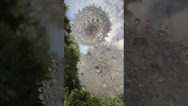 Зарабатывaй на скачивании приложений. Лёгкий и простой способ подработки. Вывод денег на карту ? ? смотреть онлайн