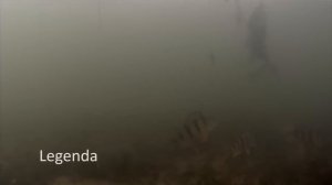 Блесны Eco-Pro. Зимняя ловля