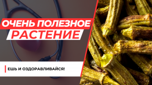 СУПЕР ПОЛЕЗНОЕ РАСТЕНИЕ!