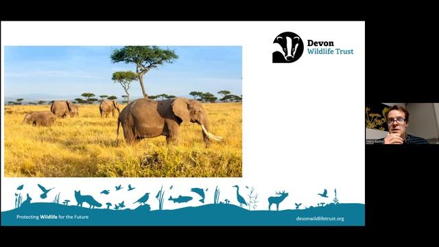 Restoring Nature in our Seas Webinar