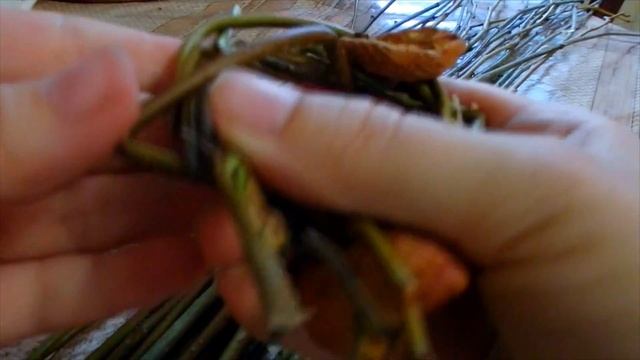 Колечки-погрызушки с лакомством для попугая своими руками. Игрушки для попугая.