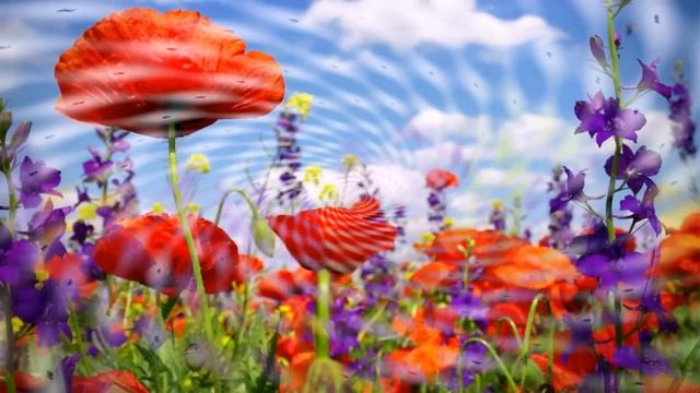 Туганыма! `”*°•.✿ Яна жырлар һәм котлаулар ✿.•°*”`