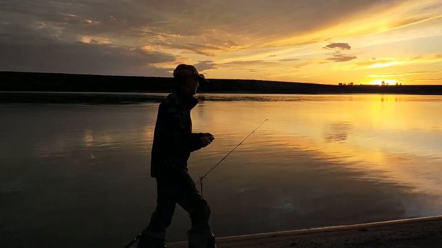Рыбалка с ночевкой. Ловим судака на донки. Красивейшая природа. смотреть онлайн