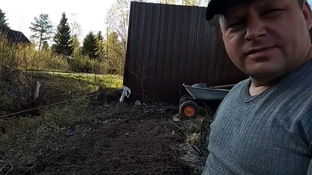 Посадка цветов с защитой от кротов. смотреть онлайн