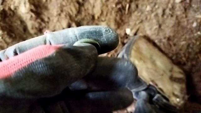 В поисках клада в заброшенном доме.
