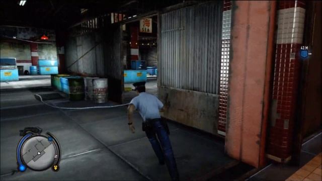 Sleeping Dogs: Year of the Snake - Evidence Bag Collectible Guide смотреть онлайн