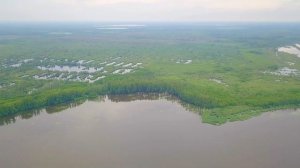 Озеро Свиношное Туголесский бор Шатурский район Туголесье