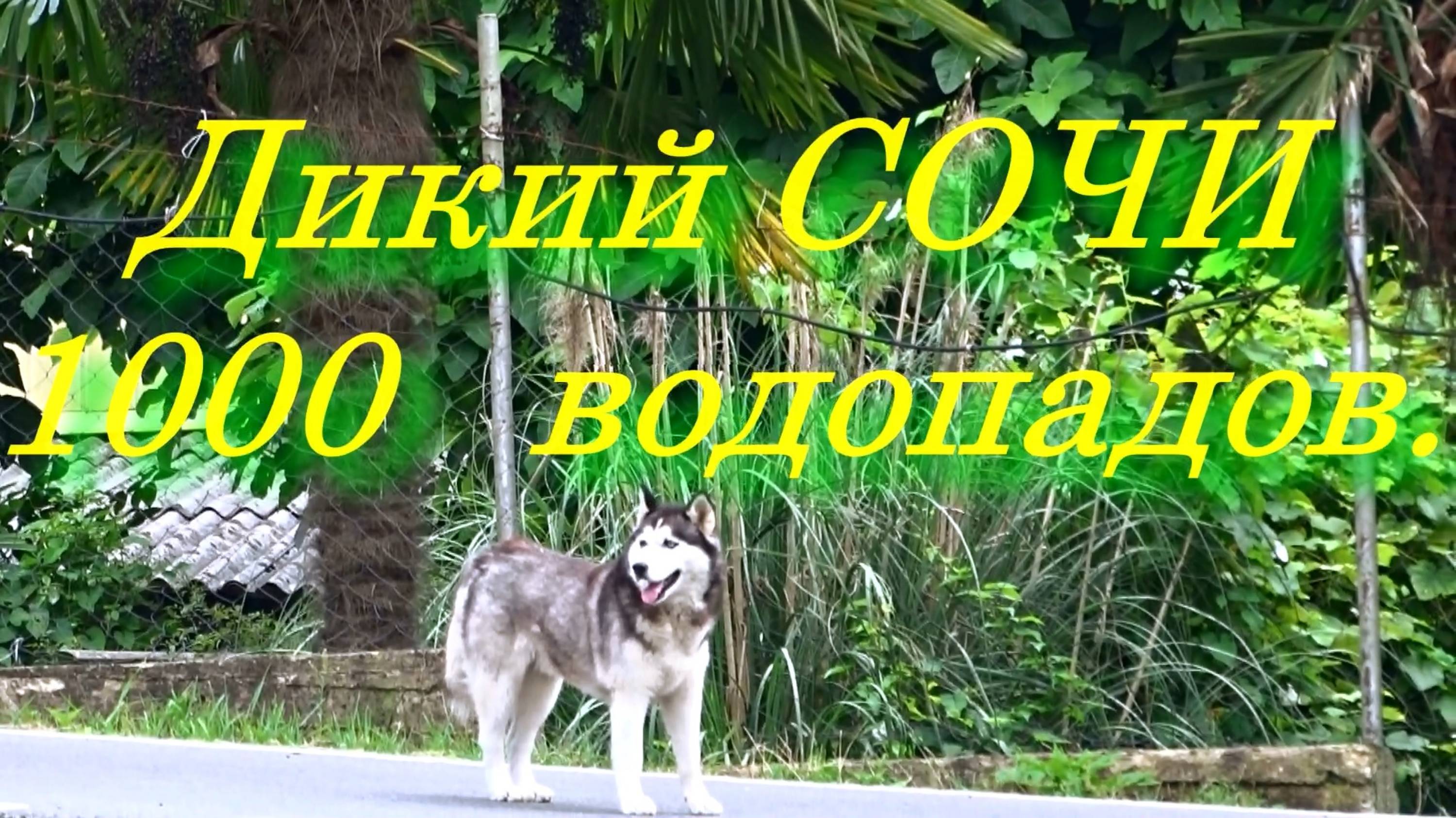 Дикий Сочи 1000 водопадов