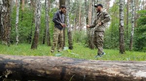 Листики+Шишки. Упражнения на развитие Скорости, Ловкости,Внимания. Наблюдение движения. Лес- часть