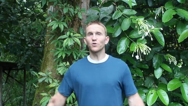 Are You Truly Living Life, or Just Merely Existing? Here's How to Tell смотреть онлайн