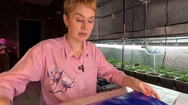 СЕМЯН ЦВЕТОВ МНОГО НЕ БЫВАЕТ. смотреть онлайн