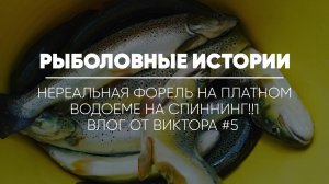 РЫБОЛОВНЫЕ ИСТОРИИ // Нереальная форель на платном водоеме на спиннинг!!1 Влог от Виктора #5